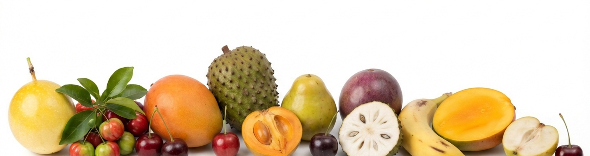 fruit